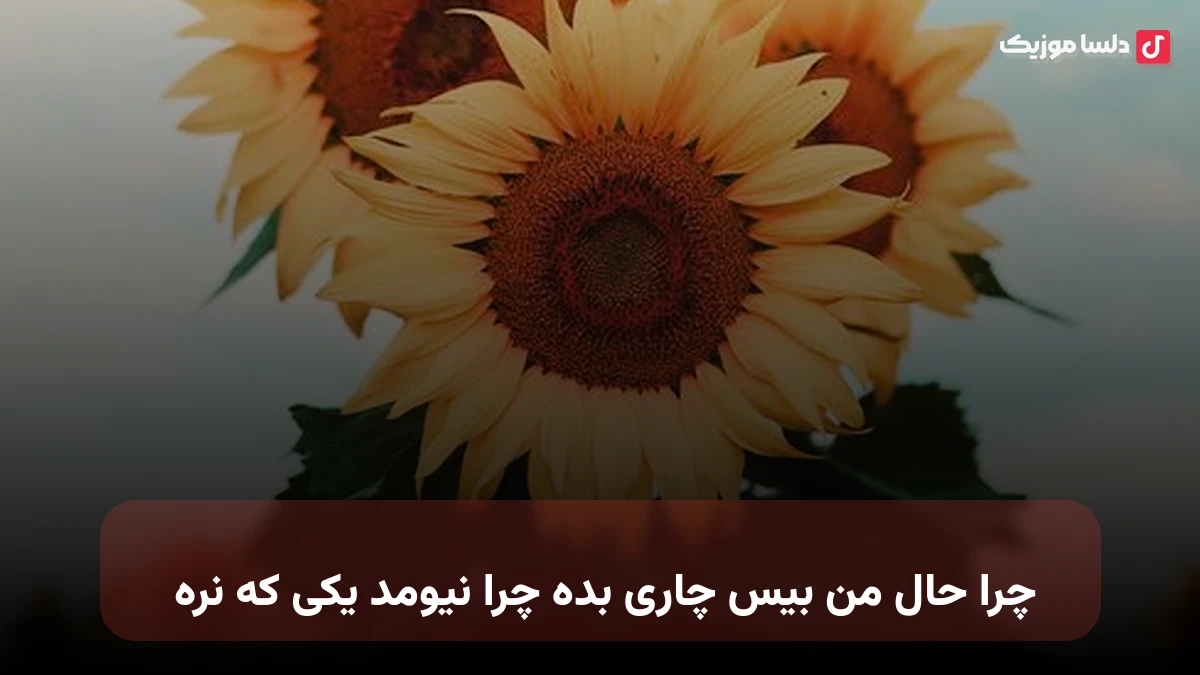 چرا حال من بیس چاری بده چرا نیومد یکی که نره 